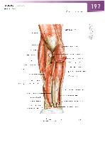 Sobotta Atlas of Human Anatomy  Head,Neck,Upper Limb Volume1 2006, page 204